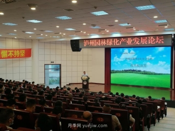 泸州园林绿化产业发展论坛召开，大伽把脉苗木行业