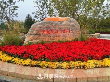 北京京宛友谊月季园，纪念南水北调南阳深厚友谊