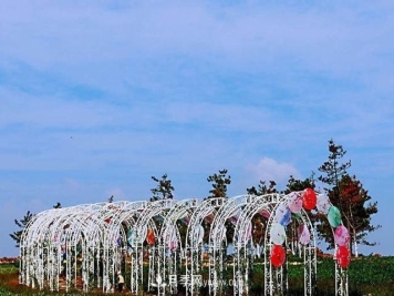 三门峡陕州区：打造田园综合体 美了乡村富了乡亲