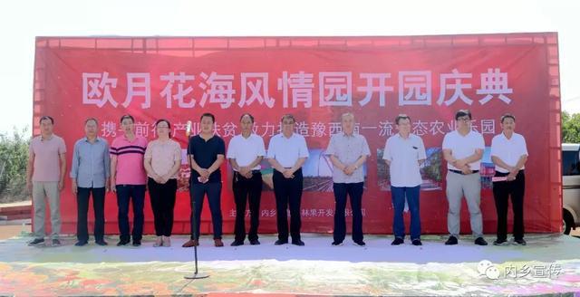 游玩好去处！内乡县灌涨镇欧月花海风情园盛妆开园(图4)