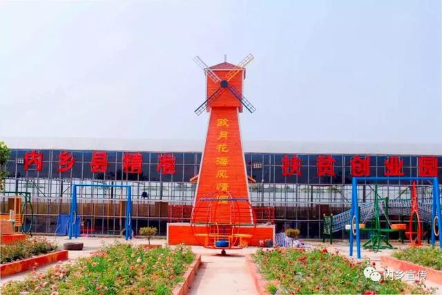 游玩好去处！内乡县灌涨镇欧月花海风情园盛妆开园(图2)