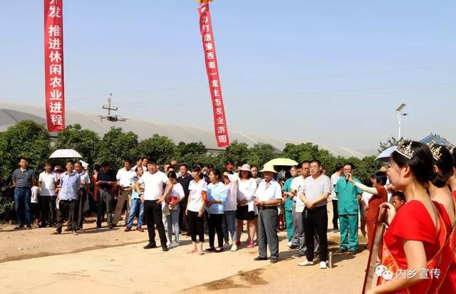 游玩好去处！内乡县灌涨镇欧月花海风情园盛妆开园(图7)