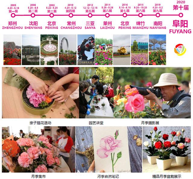 记录第十届中国月季展览会在安徽阜阳举办(图1)