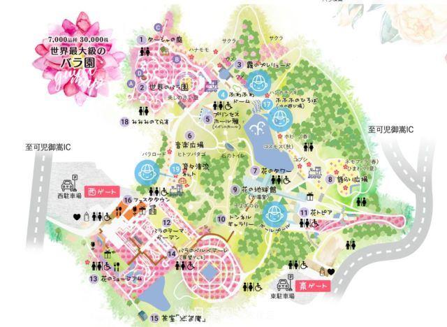 走进世界最大月季园，近7000个品种，30000棵月季……(图6)