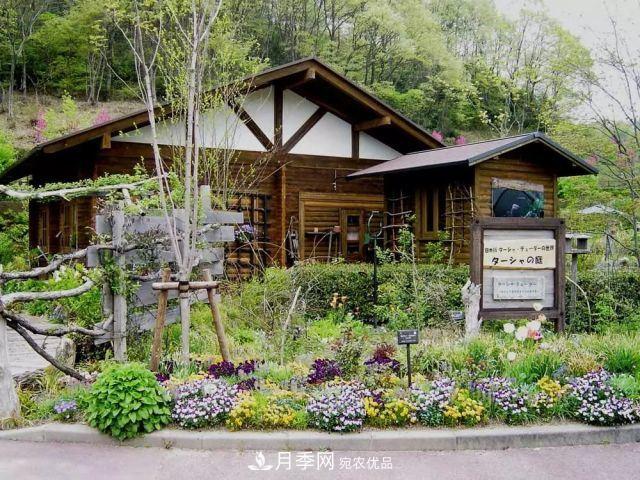 走进世界最大月季园，近7000个品种，30000棵月季……(图7)