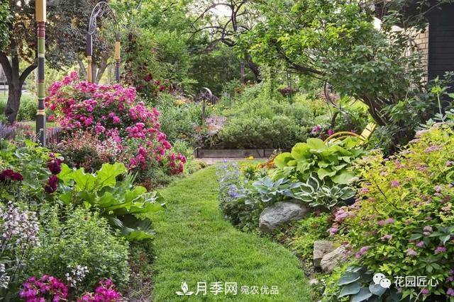 八月月季花卉养护，园丁的打理事宜(图1)