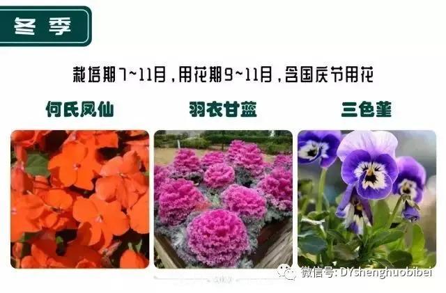 苗木必备基本常识手册(图22)