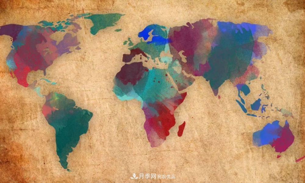 月季的前世今生：假如中国月季没有传入欧洲(图6)