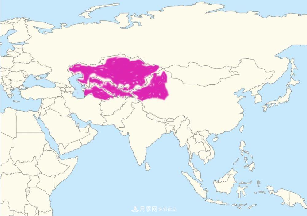 月季的前世今生：假如中国月季没有传入欧洲(图21)