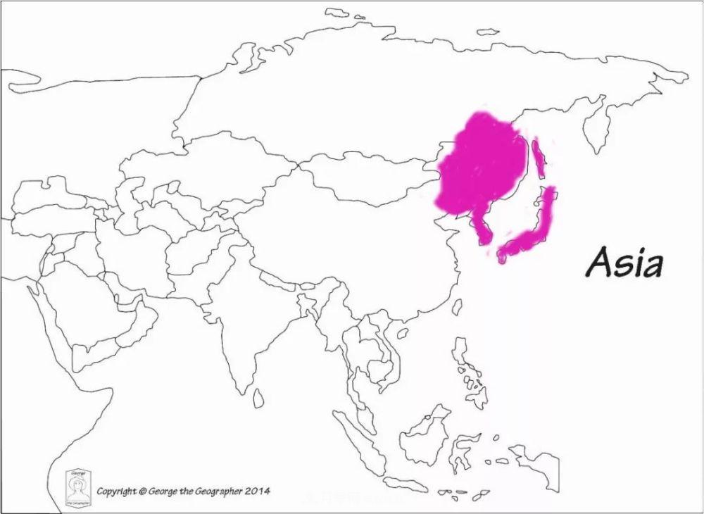 月季的前世今生：假如中国月季没有传入欧洲(图31)