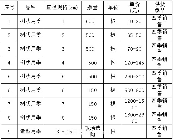 安徽树状月季的价格？树状月季各规格多少钱一棵？(图4)