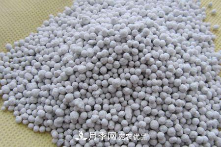 养护月季花施肥施什么肥料？(图1)