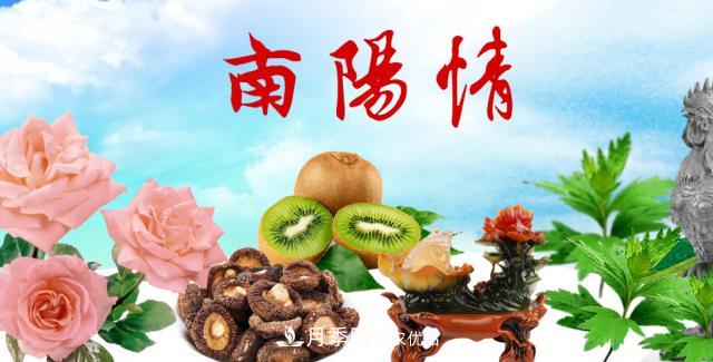 南阳市总人口1194.23万居全省第一 河南每9人就有1个南阳人(图2)