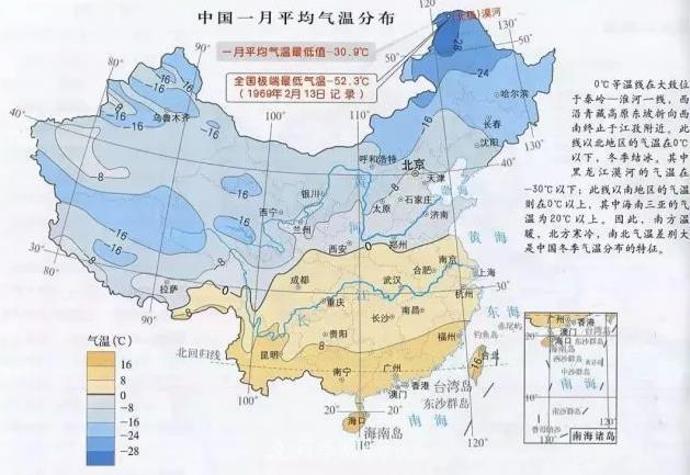 北方南方养护月季重点有什么不同？不用讨论了(图2)