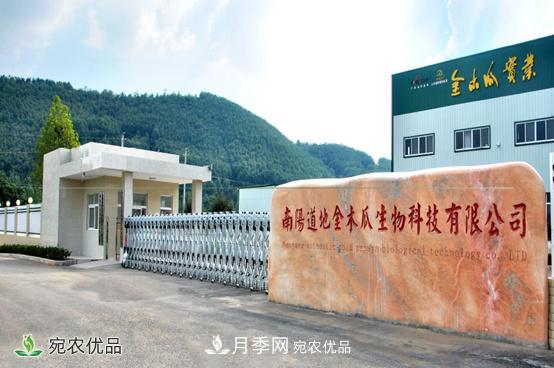 走进南阳市方城县柳河镇金木瓜基地(图1)