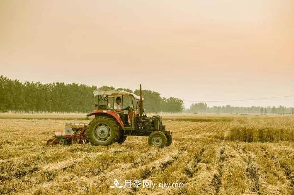 粮食生产先进单位——改革开放40年南阳品牌聚焦(图1)
