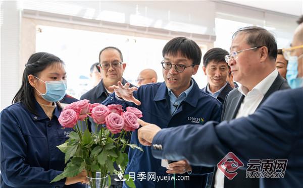 全国优势特色产业推进会，昆明晋宁月季花卉产业获点赞(图4)