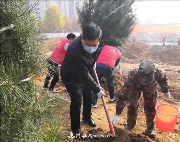 郑州巩义：4000多人栽下25000多棵苗木(图2)