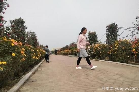 方城博望镇：花果围村为村庄按下美颜键(图1)