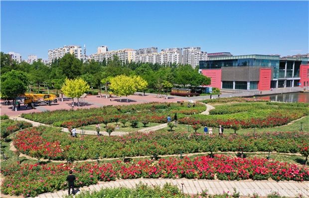 造价知识:绿化工程全套计算规则(图1) 造价知识:绿化工程全套计算规则(图1)