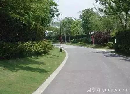 最全常用草坪品种、优点缺点和施工要点(图16)