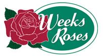 月季育种家:美国Weeks Roses月季公司(图1) 月季育种家:美国威克斯月季公司(Weeks Roses)(图1)