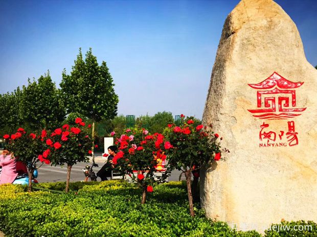 南阳内乡县森林覆盖率45.9%，中药材达400多种(图1)