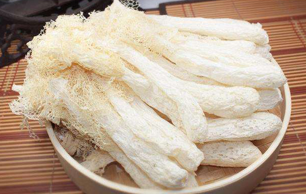 竹荪适合在哪里种植？竹荪种植技术(图4)