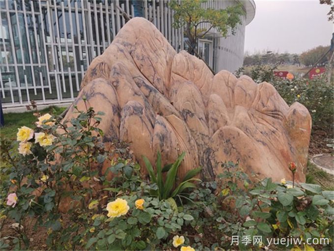 庭院中景观置石怎么选？(图1)