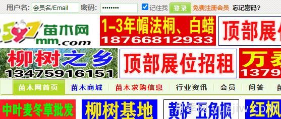 597苗木网，网上苗木交易平台(图1)