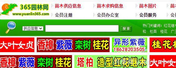 中华园林网，365园林网，园林花木行业网站(图1)
