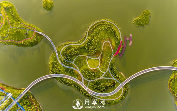 广东肇庆砚阳湖景区月季岛景观(图3)