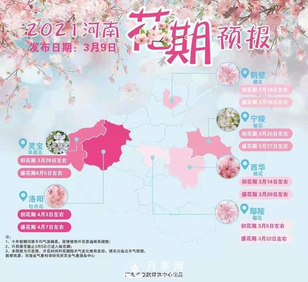 河南省气象局发布花期地图 洛阳牡丹花4月3日进入初花期(图1)