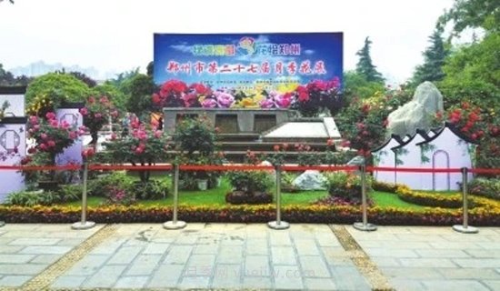 30万株月季花美丽绽放 郑州第27界月季花展来了(图1) 30万株月季花美丽绽放 郑州第27界月季花展来了(图1)
