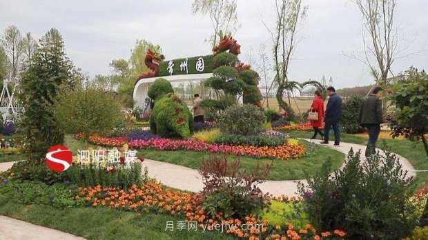 第十一届中国月季展览会:走进常州展园(图1) 第十一届中国月季展览会:走进常州展园(图1)