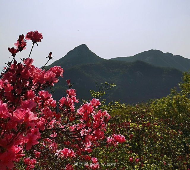桐柏县，淮河之源 坐标桐柏山(图2)