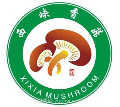 南阳西峡：发展菌果药特色产业 全力推进乡村振兴(图1)