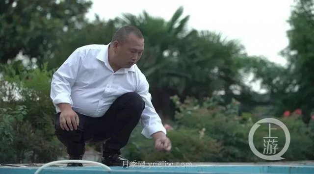 南阳镇平：“中国锦鲤**村”的三代养鱼人(图2)