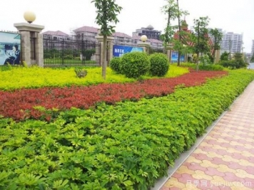 施工说明有哪些？园林绿化施工组织设计内容包括哪些？