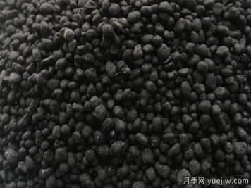 生物肥和有机肥有什么不同