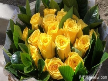 道歉花束用哪些花卉