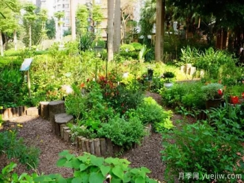 未来花园的流行趋势