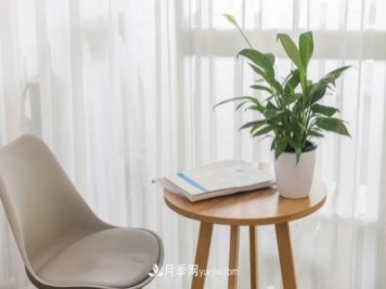 2021，十二生肖的运势，养什么花最旺？