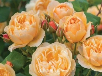 做电商卖什么最赚钱？六个方向