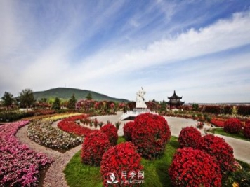 刘秀与花中皇后月季的故事