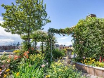 露台花园打造注意事项，以及优良花木品种推荐