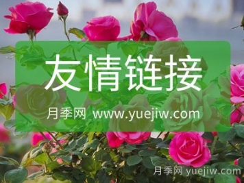 月季网友情链接