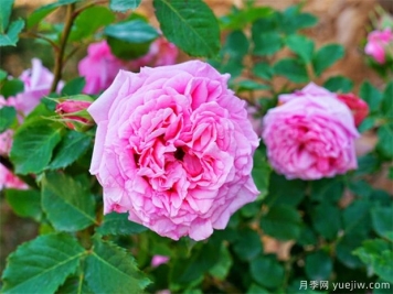 夏季养护要特别注意这几点！