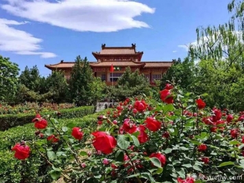 月季名园：北京首钢月季园