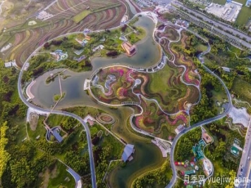 南阳世界月季大观园杯魅力南阳新城区摄影大赛结果和美图精选